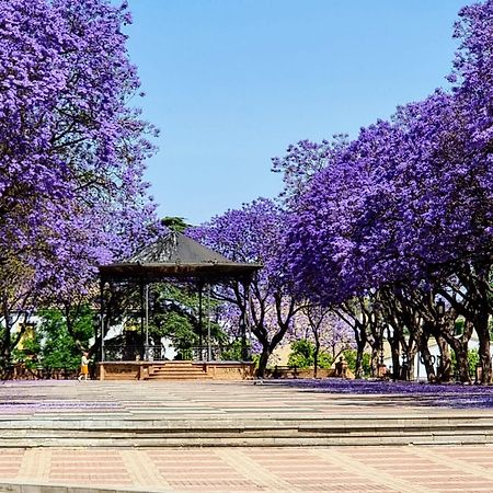 Alazan Jerez Iv-Parking Gratis-Wifi-Netflix Daire Jerez de la Frontera Dış mekan fotoğraf