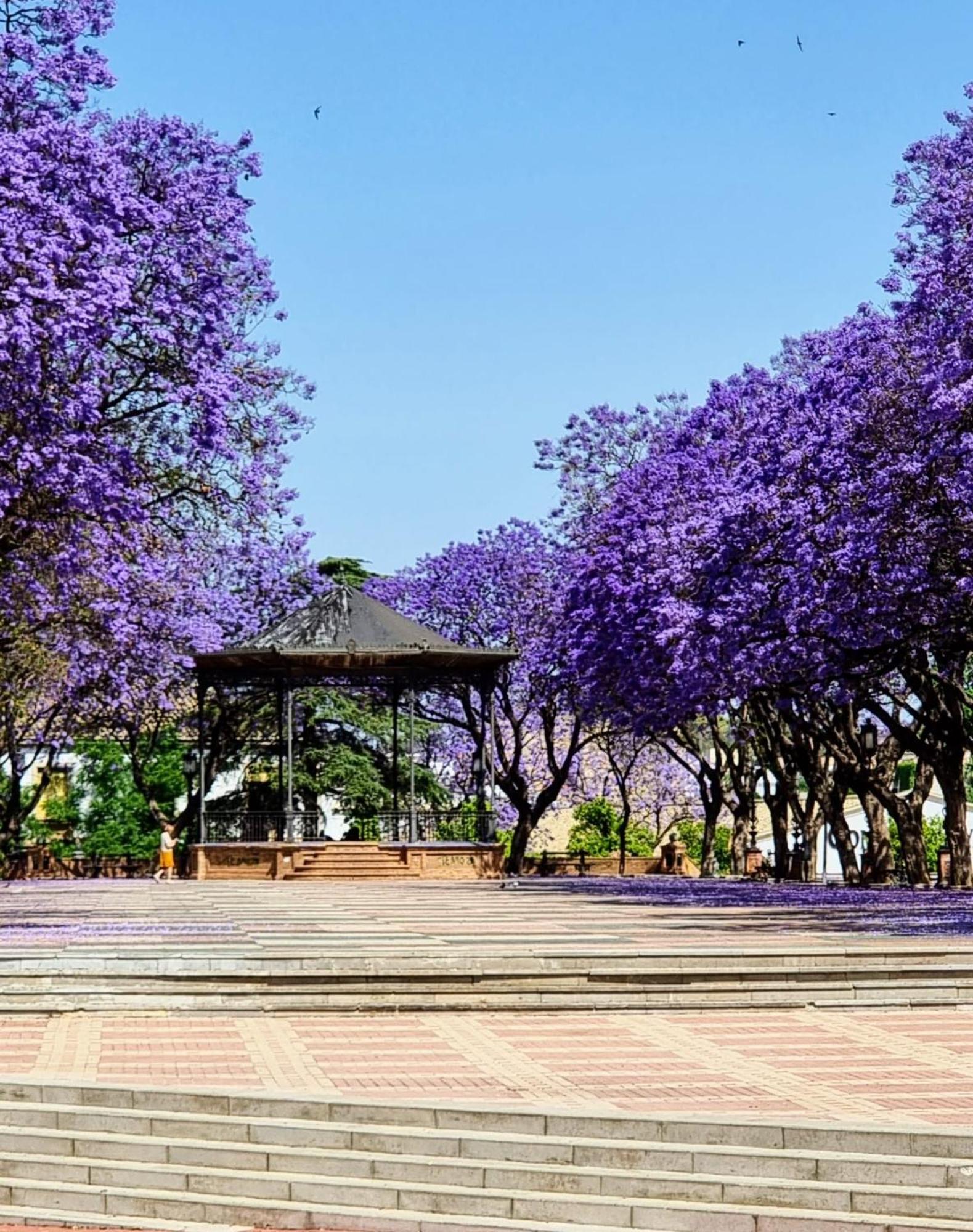 Alazan Jerez Iv-Parking Gratis-Wifi-Netflix Daire Jerez de la Frontera Dış mekan fotoğraf