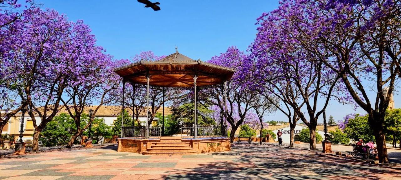 Alazan Jerez Iv-Parking Gratis-Wifi-Netflix Daire Jerez de la Frontera Dış mekan fotoğraf